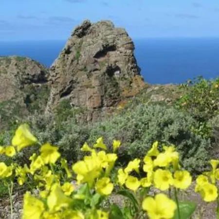 Σπίτι διακοπών House Rural,biosphere Reserve World.taganana.tfe.